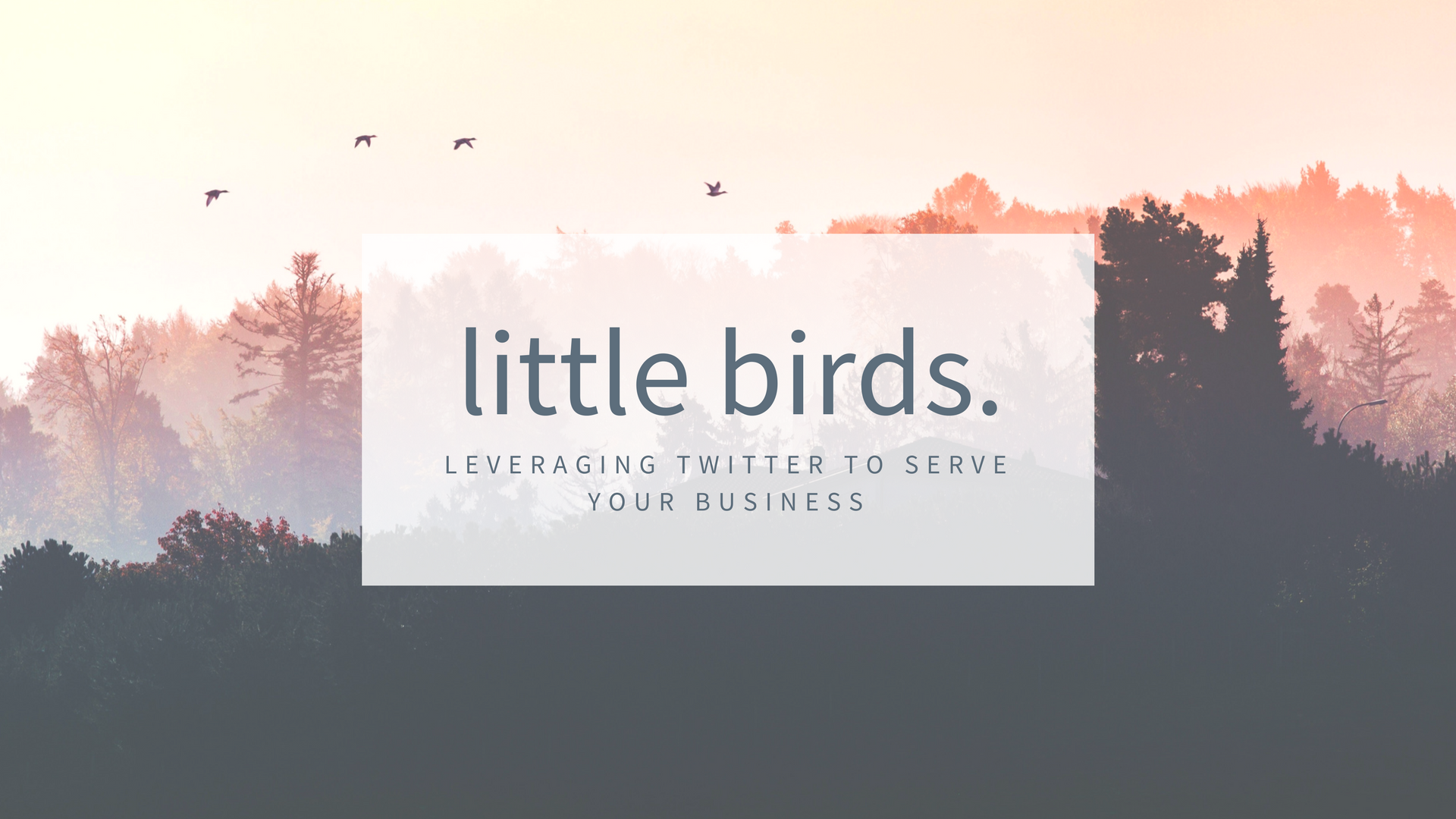 Little Birds – Leveraging Twitter to Serve Your Business